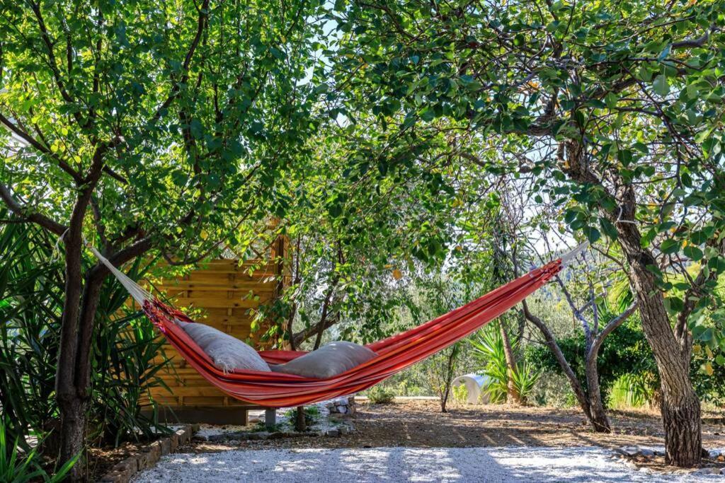 Ditropo Nina-Myrtia Countryside House Skopelos מראה חיצוני תמונה