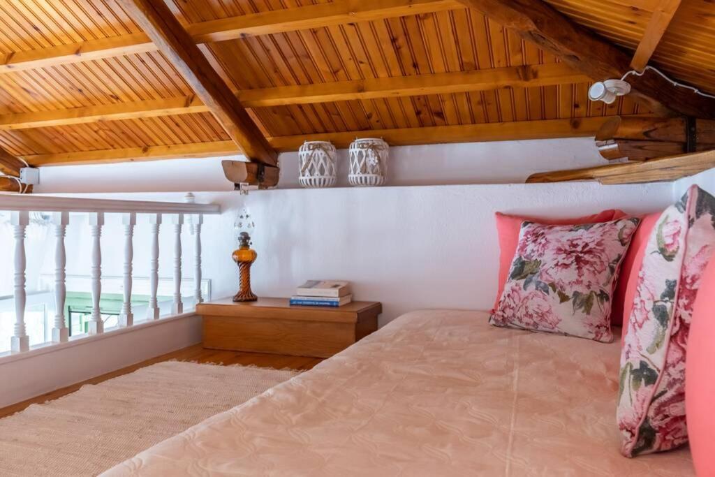 Ditropo Nina-Myrtia Countryside House Skopelos מראה חיצוני תמונה