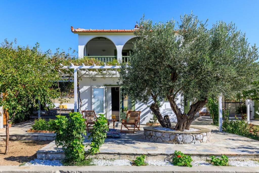 Ditropo Nina-Myrtia Countryside House Skopelos מראה חיצוני תמונה