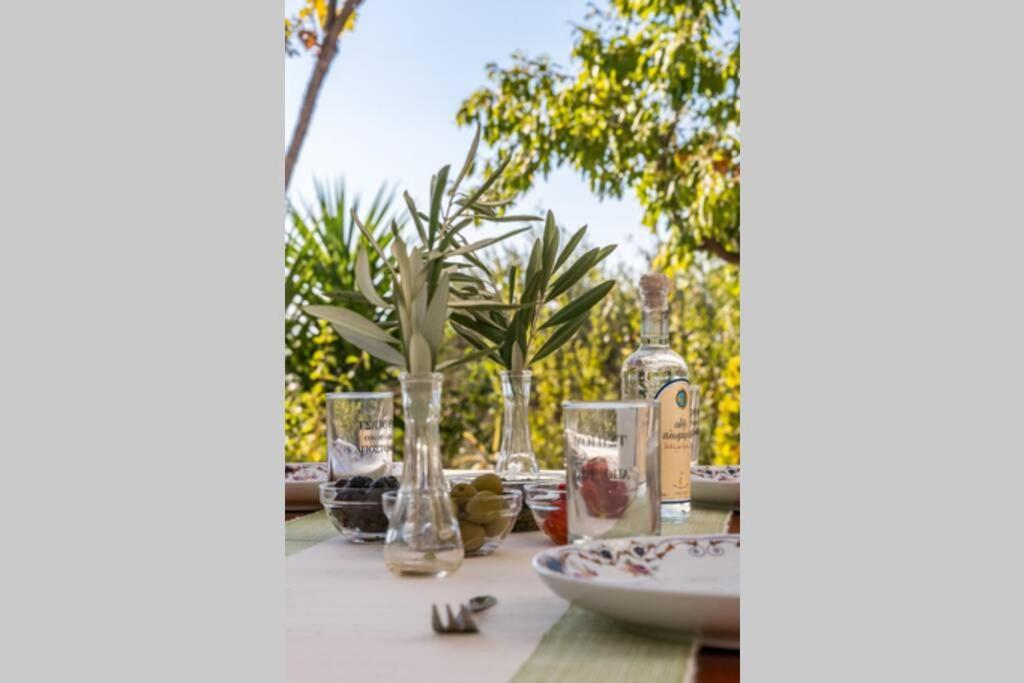 Ditropo Nina-Myrtia Countryside House Skopelos מראה חיצוני תמונה